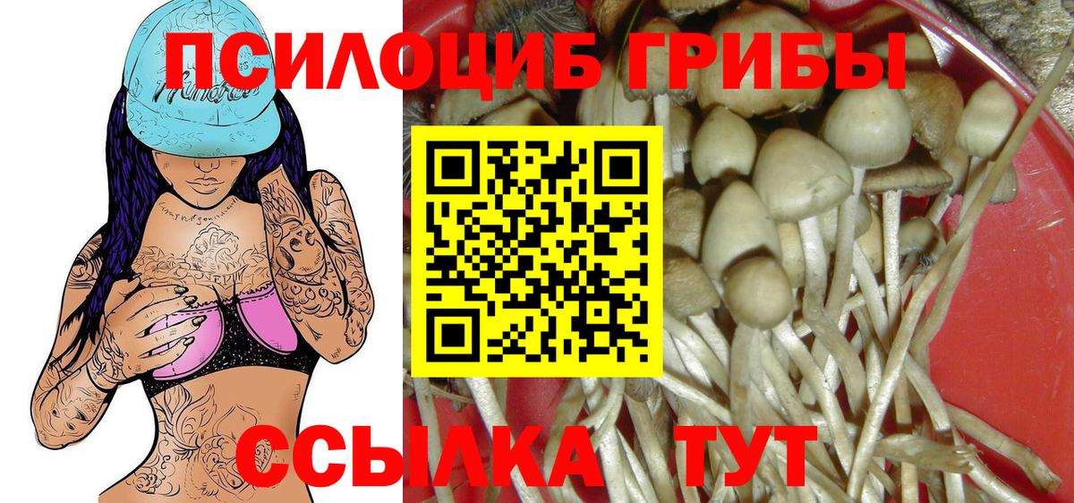 Псилоцибиновые грибы прущие грибы Котовск