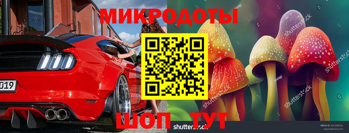 Галлюциногенные грибы Cubensis  Псилоцибиновые грибы мицелий  Котовск  Вход с VPN 